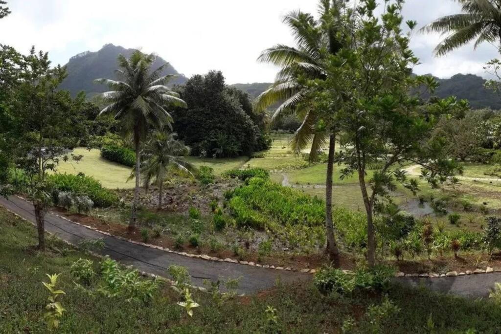 Studio Bord De Mer Fare Tahitea Pension Taputapuapea 外观 照片