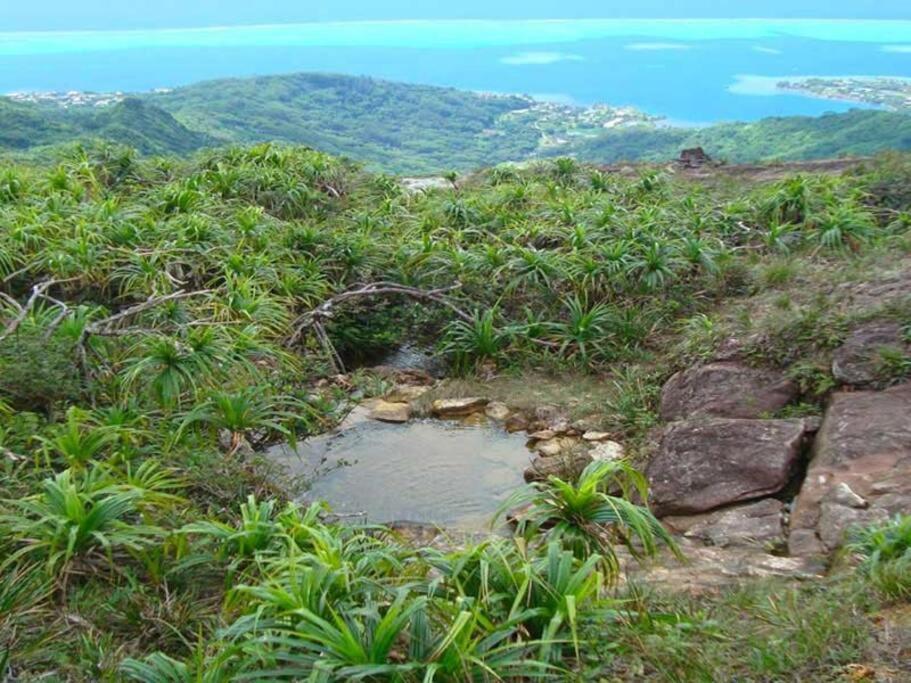Studio Bord De Mer Fare Tahitea Pension Taputapuapea 外观 照片